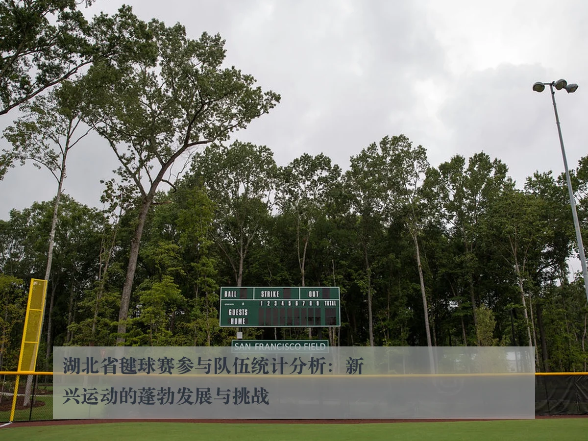 湖北省毽球赛参与队伍统计分析:新兴运动的蓬勃发展与挑战